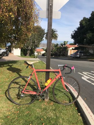 1986 SR800