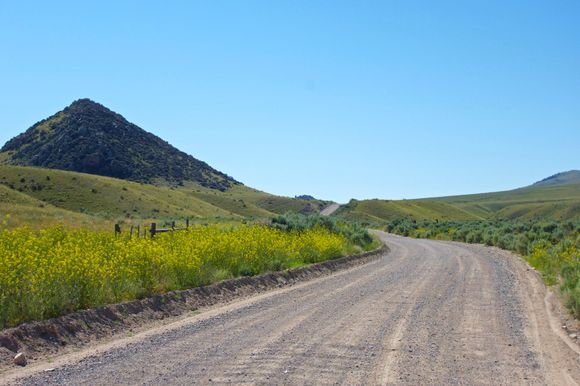 Melrose Bench Rd., MT.