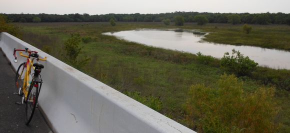 This section of Addicks Reservoir is always wet and boggy.
