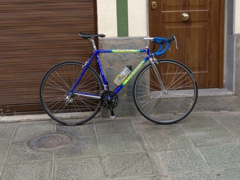 buy colnago