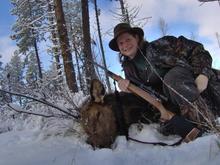 An elk that did not get away!