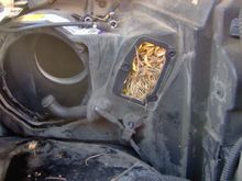 I also had a "bit" of a problem with tamarack needles plugging up my system!