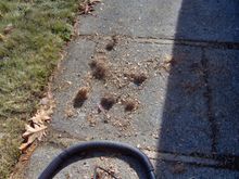 Some of the needles I took out.