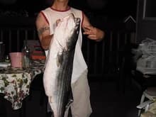 33 pound Striped Bass