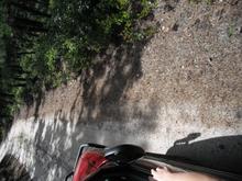 driving through the woods on a lovely day
