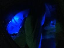back seat has blue too