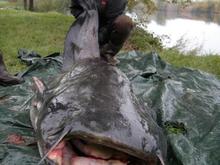 Ralf Koen Doubs Okt 2010 002