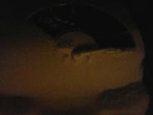 That Canadian weather