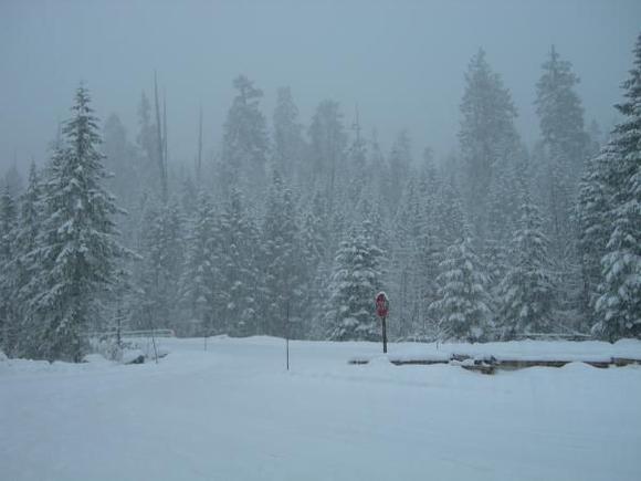 Mt.Rainier