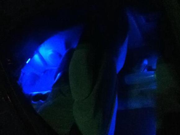 back seat has blue too
