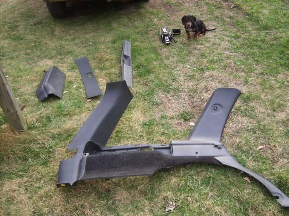 cleaning panels and my puppy lol