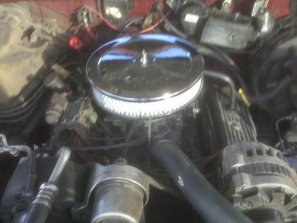 my hopped up 262.
victims:350 c10,305 c10,289 67 mustang,3.8 mustang, 5.3 silverado,4.7 ram etc...