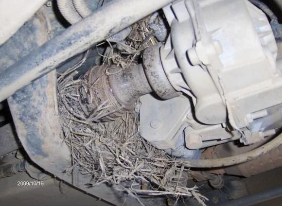 this is why these trucks need a full skid plate for te trans itself. i think i've just added another thing to my "things to do to the Blazer" list.