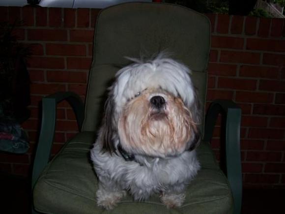 Badonkadonk...aka...Tic-Terd