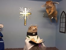 World Famous Gopher Museum.