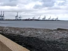 Across the Orwell mouth to Felixstowe docks, one of the biggest container ports