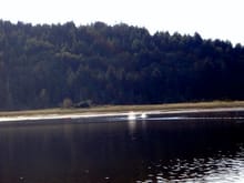 Netting on the North River 2