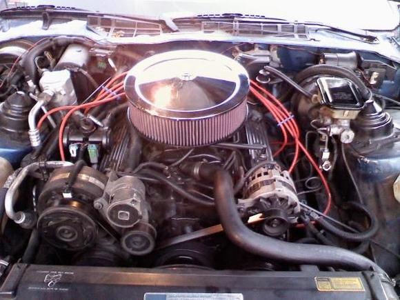 The heart of the beast.. more chrome comming soon!