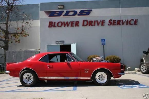 BDS SERVICE