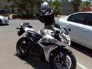 my new cbr 600 phoenix bird special