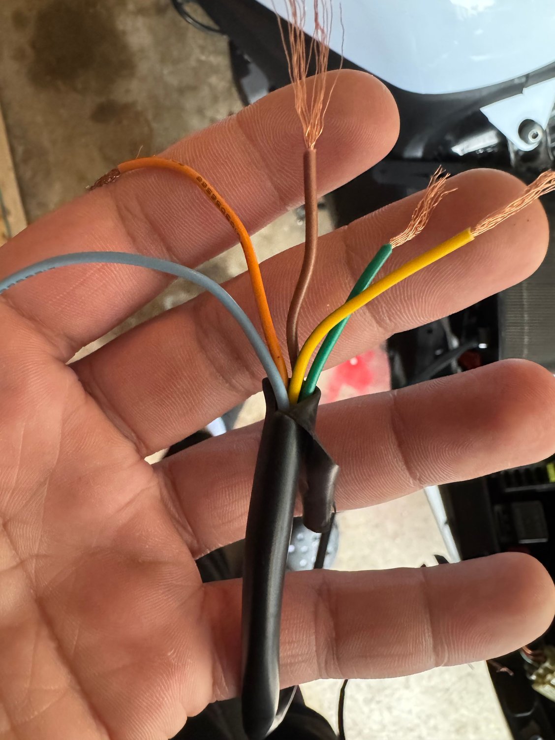 Wires coming from tail light 