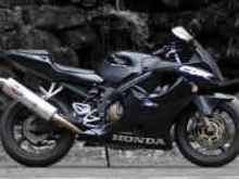 Jardine RT-1 Slip on
Hotbodies Undertail 

(bikes for sale)