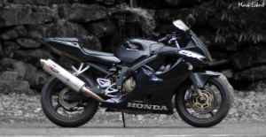 Jardine RT-1 Slip on
Hotbodies Undertail 

(bikes for sale)