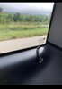 My Post Pictures
