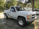 Garage - Critter Gitter