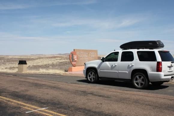 Petrified Forest