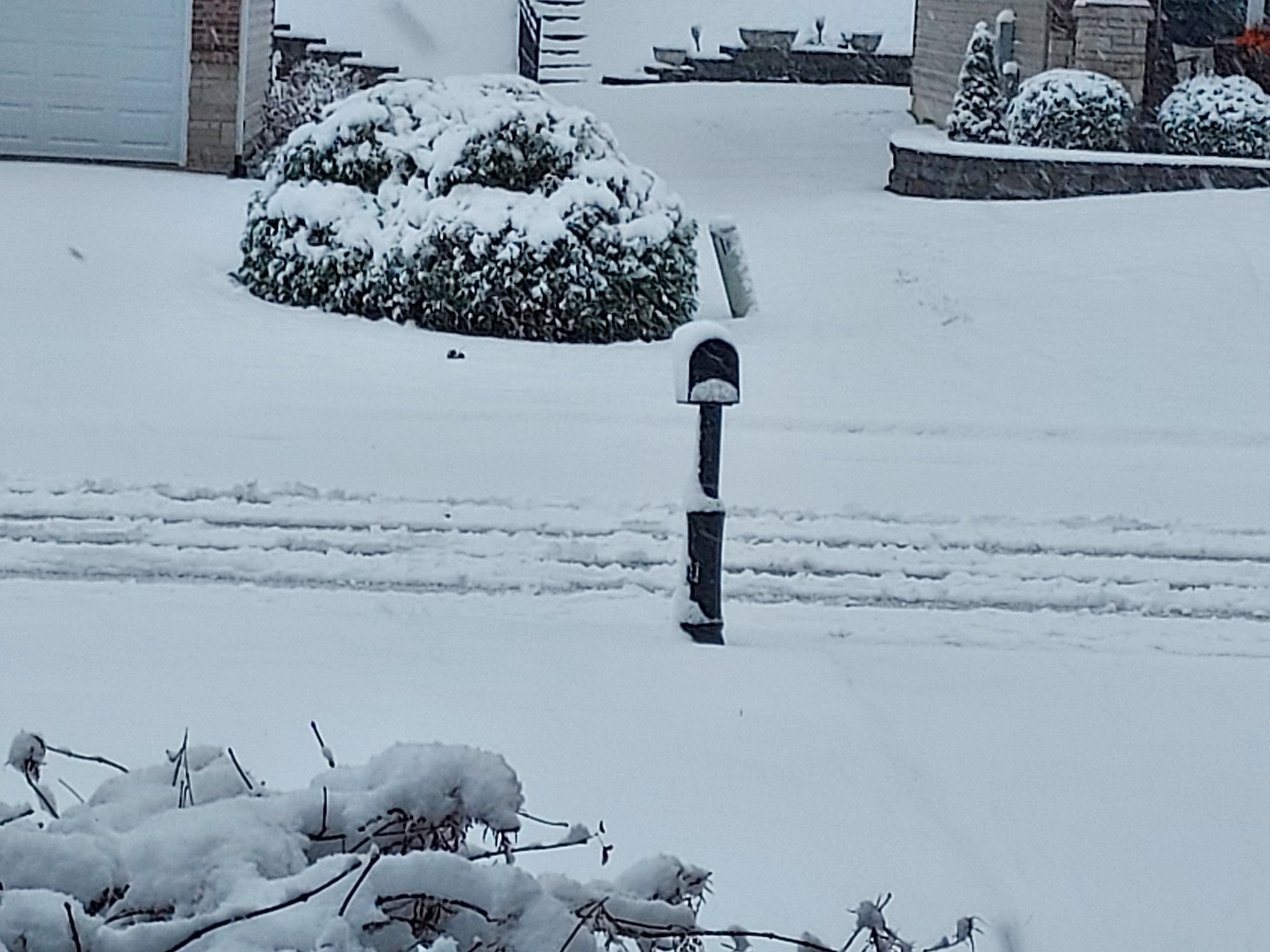 No sign of a snow plow/salt truck through out neighborhood. 