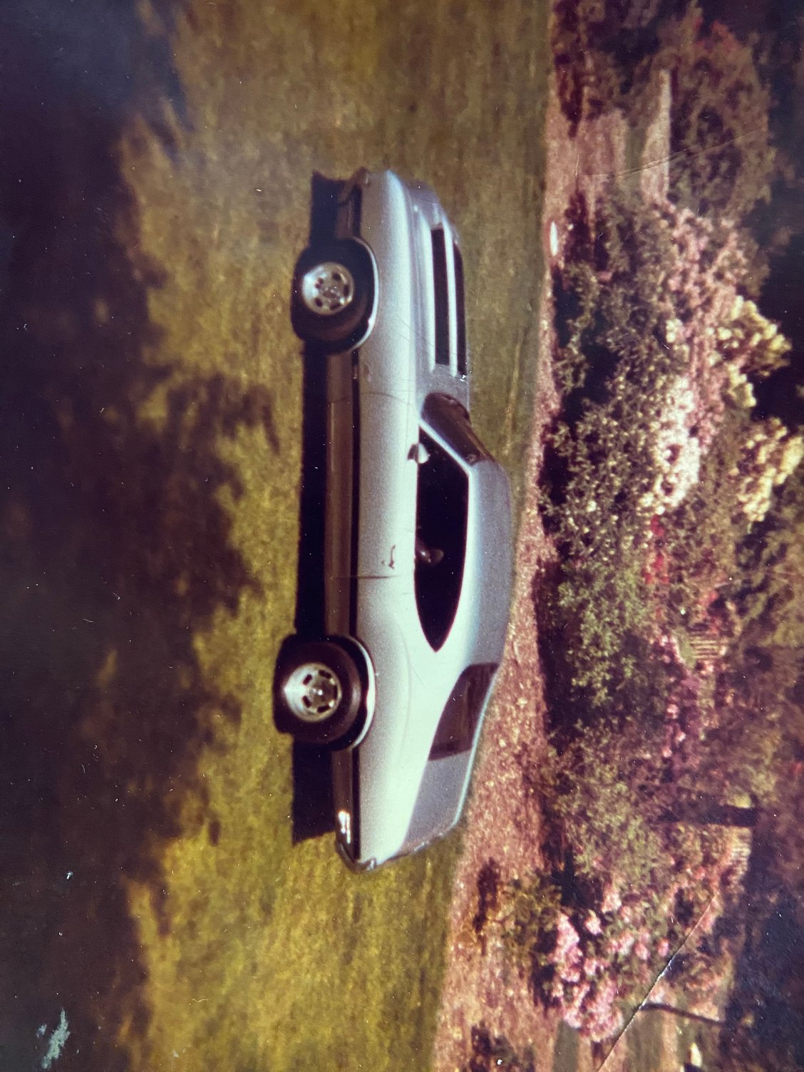 Photo from 1975