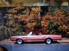 Untitled Album 2025-04-04 12:13:58