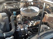 The engine after I sprayed it off and wiped down the valve covers.