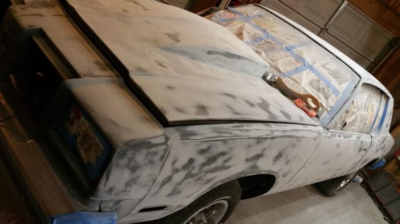1979 cutlass I'm getting ready to paint