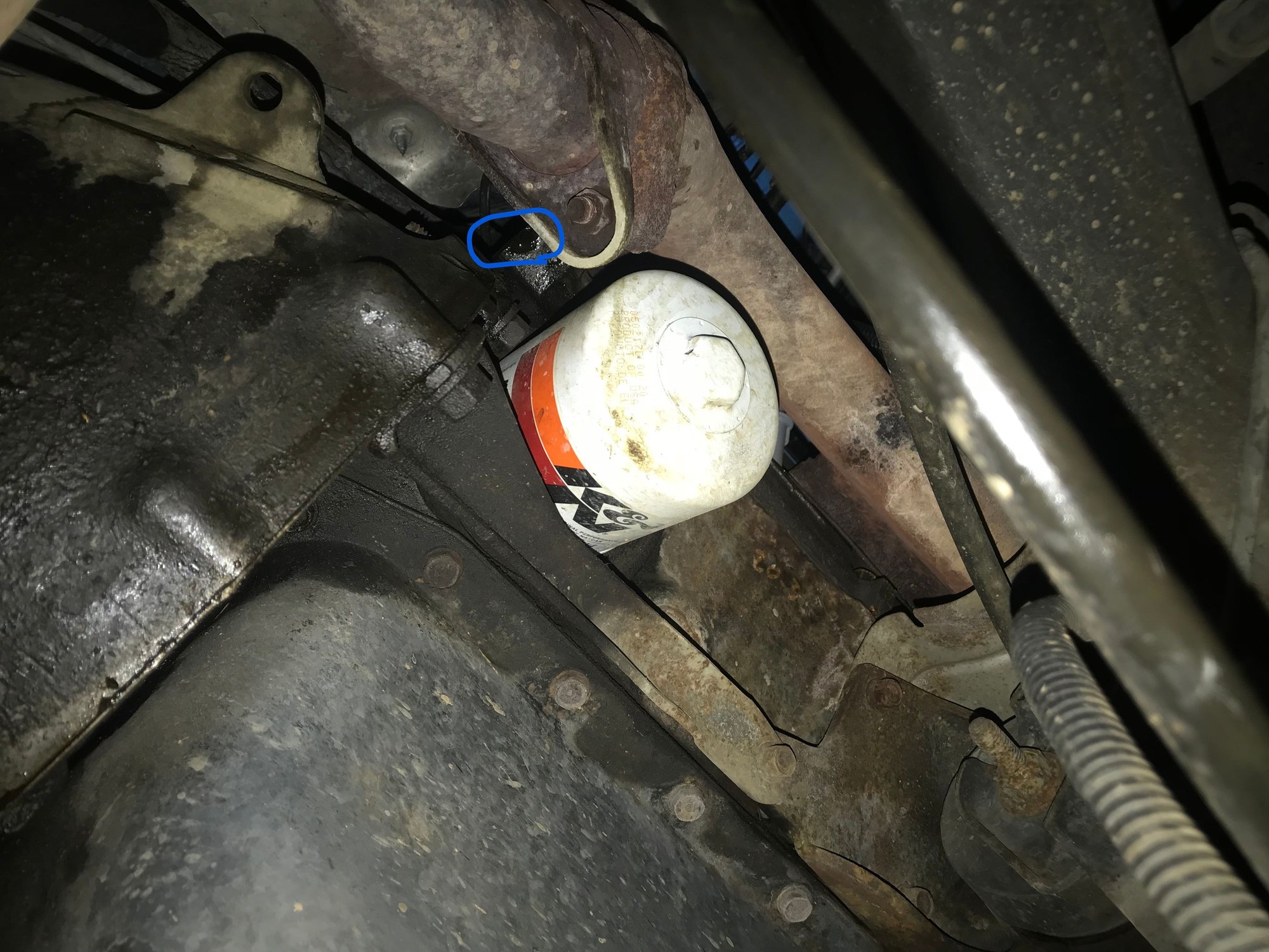 Coolant Leak From Exhaust Page 2