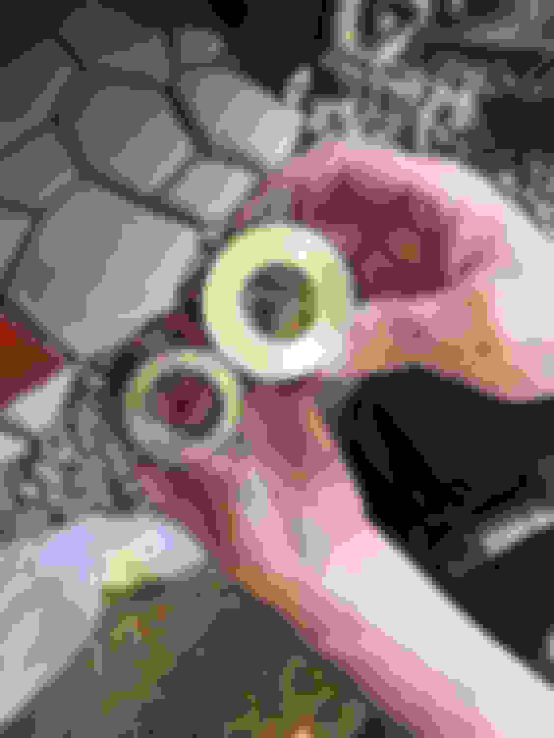 Dodge Caravan Axle Nut Torque