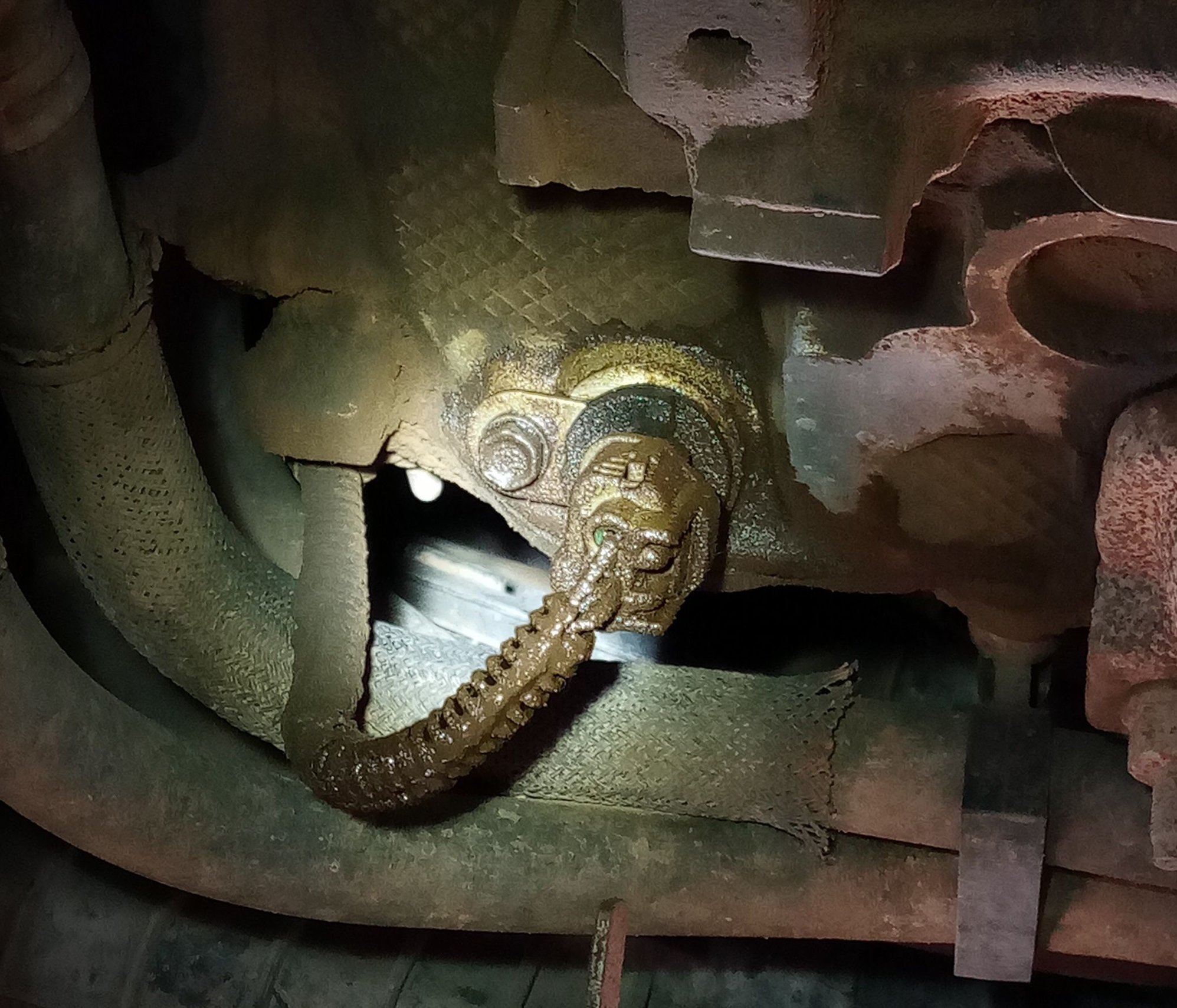 Crankshaft Position Sensor Oil Leak