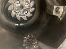 A small fraction of the flakes I collected