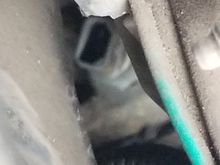 Sensor I found behind alternator.