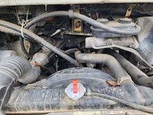 The shiniest penny in the pond