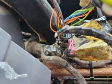 The orange and black wires im holding is the foglight harness and plug i need to go back out therr and see how far back they go nd maybe cut them but this is the pictures i took while at the junkyard