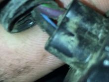 This is the wires coming from the harness. One is Blk/Blu stripe the other wire is black with green / red stripe.
