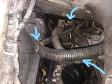 cooler, crimp, bottom of hose
