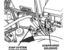 top or botton hose outlet on the evap/purg solenoid goes to the throttle body ? 
