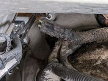 Unknown connector with two green rubber (?) ends