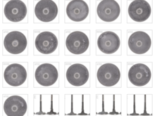 Valves and Valve Sets Before and After Gumout