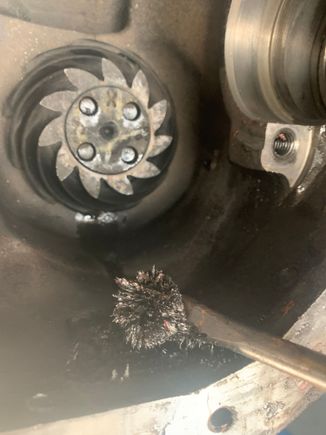 A small fraction of the flakes I collected