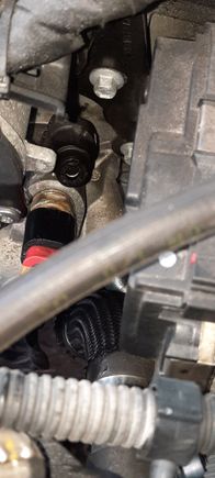 Can anyone identify what this small plastic fitting above the sensor does?
It is on the water distribution pipe.