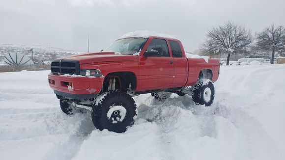 This baby loves the snow!